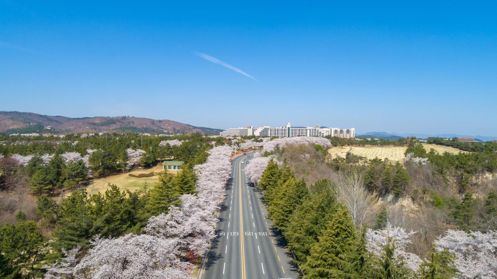 Kensington Resort Gyeongju Extérieur photo